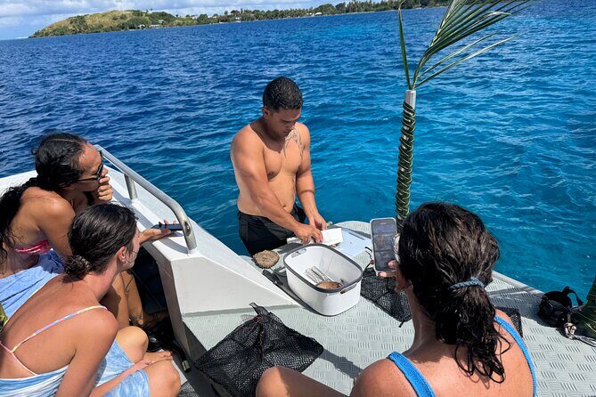 Snorkeling Discovery DE the Black Pearl and Lunch in Bora Bora - Pricing and Value