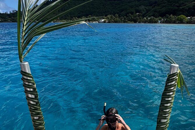 Snorkeling Discovery DE the Black Pearl and Lunch in Bora Bora - The Experience Provider and Booking