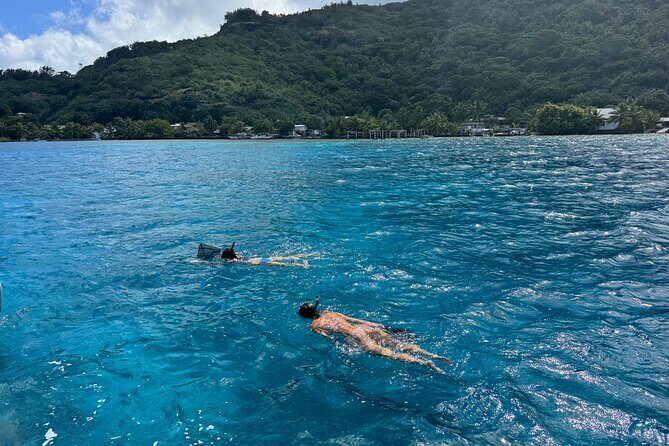Snorkeling Discovery DE the Black Pearl and Lunch in Bora Bora - Authenticity and Customer Feedback