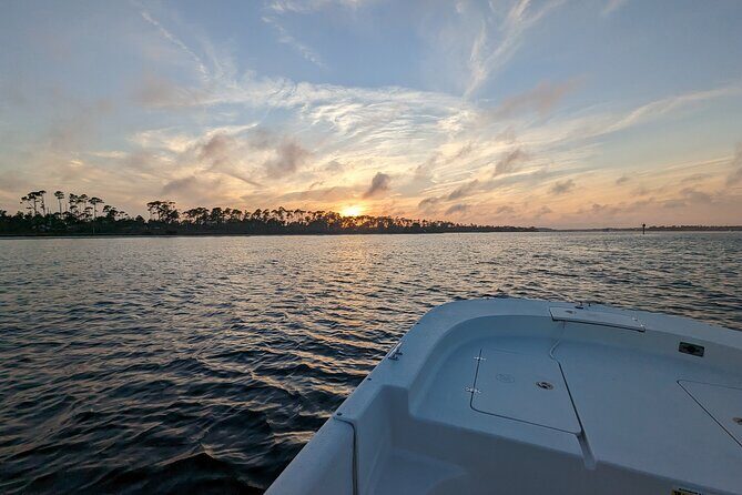 Snorkeling, Dolphin and Wildlife Sightings at St. Andrews Bay - Final Thoughts: Is It Worth It?