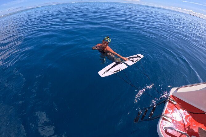 Snorkeling EN Subwing in Tahiti - Final Thoughts
