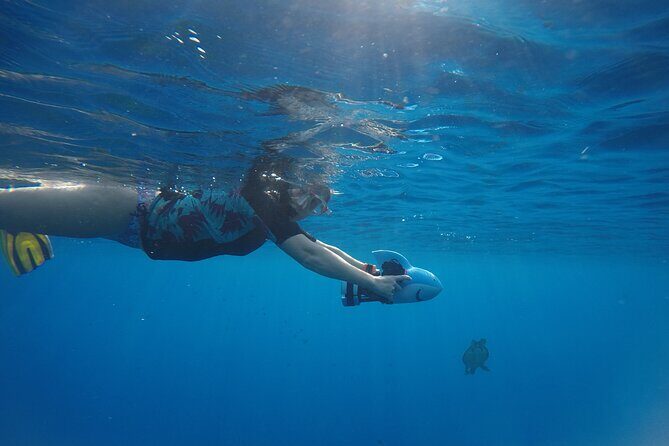 Snorkeling EN Underwater Scooter in Tahiti - Logistics and Practical Details