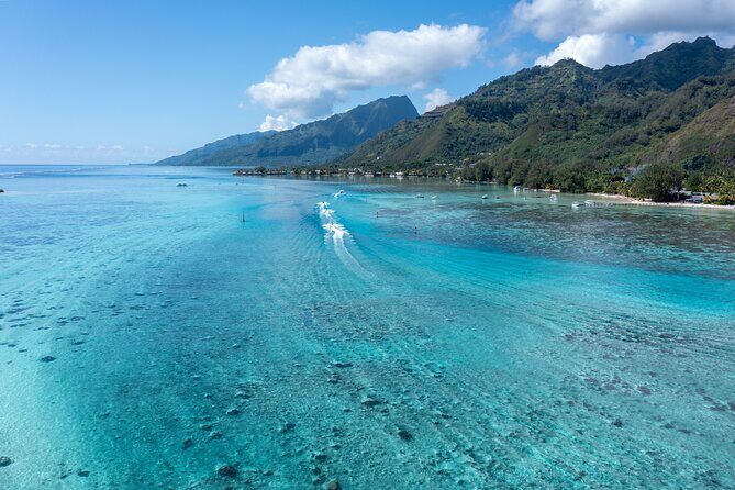 Snorkeling excursion and encounter with marine fauna in Moorea - Guides and Service: Knowledgeable and Friendly