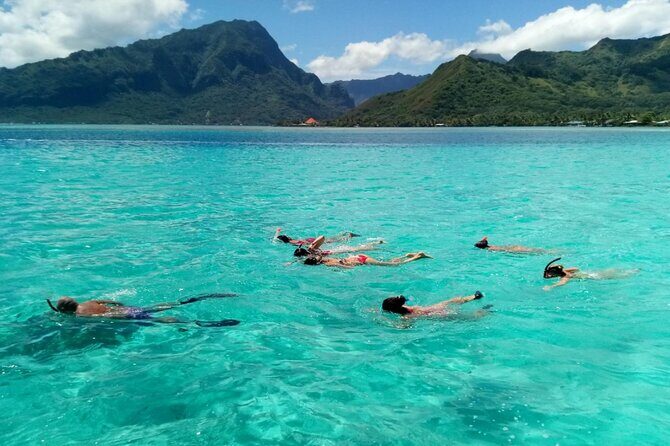 Snorkeling excursion and encounter with marine fauna in Moorea - Practical Tips for Participants