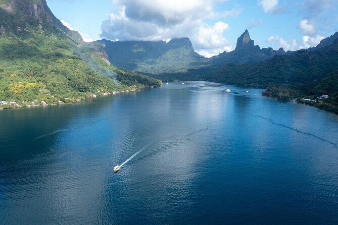 Snorkeling excursion and encounter with marine fauna in Moorea - Who Will Love This Tour?