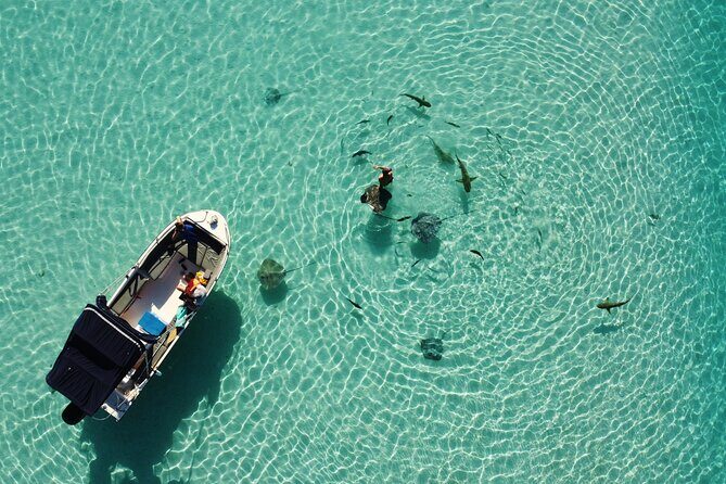 Snorkeling excursion, discovery of the lagoon, small group. - The Itinerary: Four Unique Snorkeling Spots