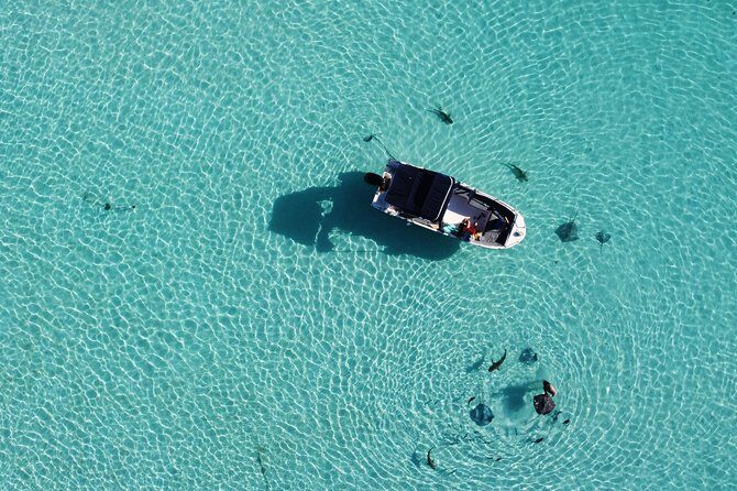 Snorkeling excursion, discovery of the lagoon, small group. - The Experience: Pros and Cons