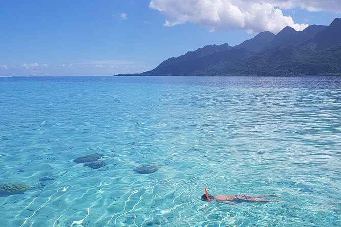Snorkeling excursion, discovery of the lagoon, small group. - Why You Should Consider It