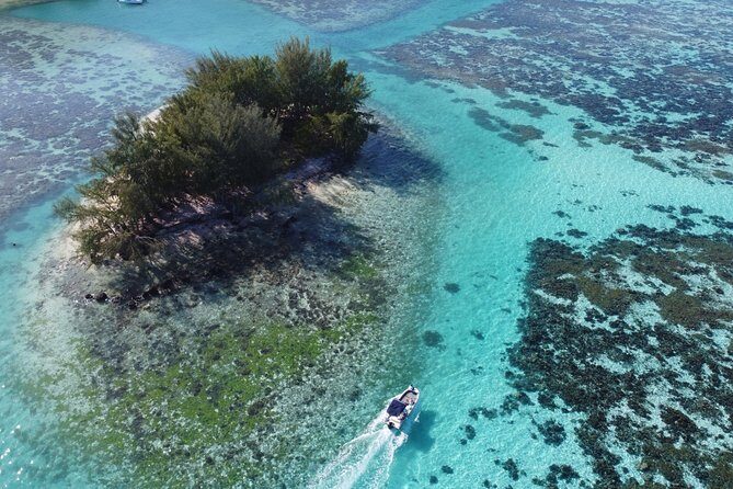 Snorkeling excursion, discovery of the lagoon, small group. - The Sum Up