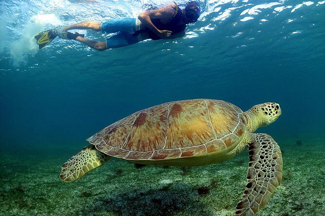 Snorkeling Expedition in Cancun and Riviera Maya (underwater World) - Introduction