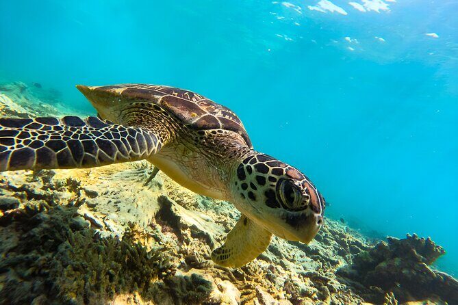 Snorkeling Experience at Ad Daymaniyat Islands in Muscat - An In-Depth Look at the Snorkeling Tour