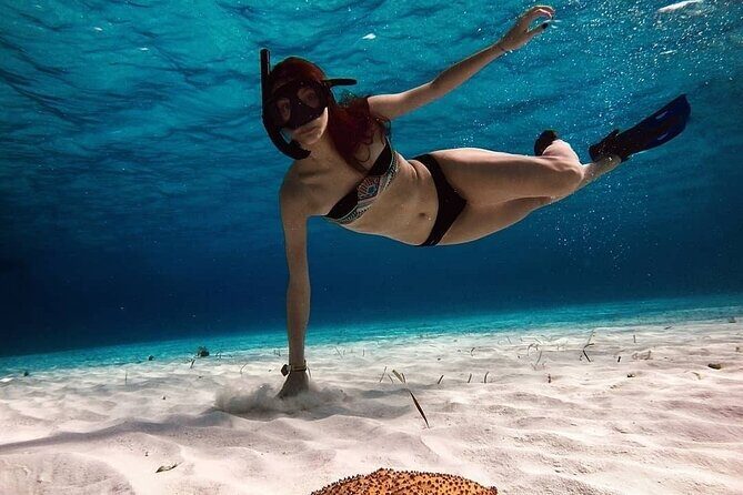Snorkeling Experience in Cozumel with Transportation from Cancun - Key Points