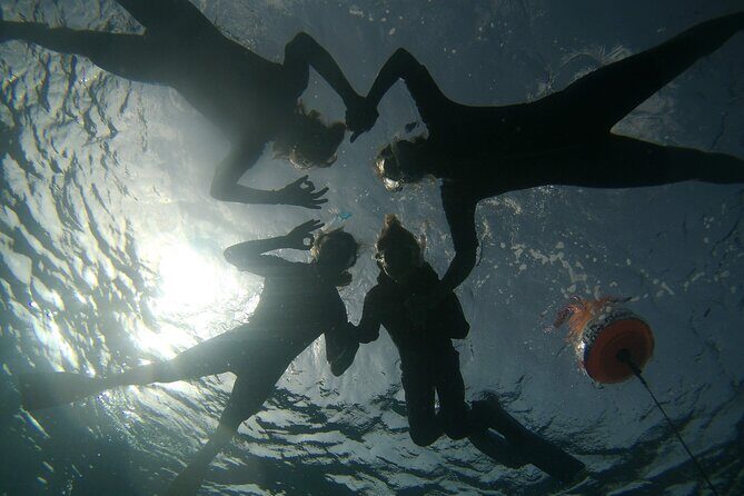 Snorkeling Experience in Santa Maria Bay by boat - What to Expect from the Snorkeling Tour