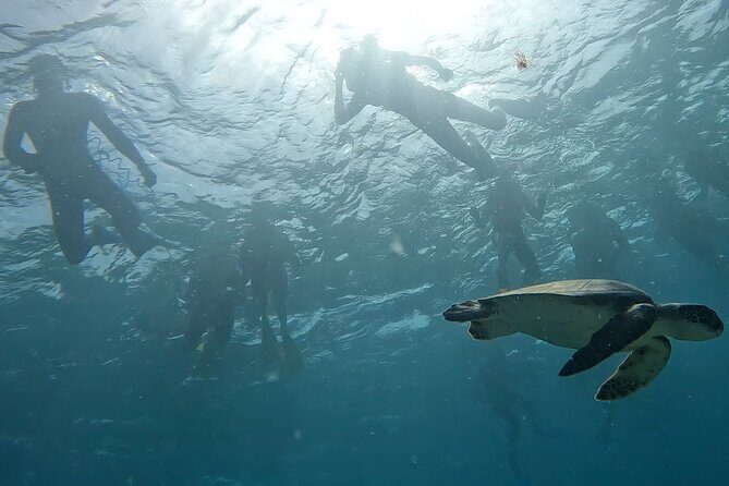 Snorkeling Experience in Santa Maria Bay by boat - Practical Tips for Your Snorkeling Trip