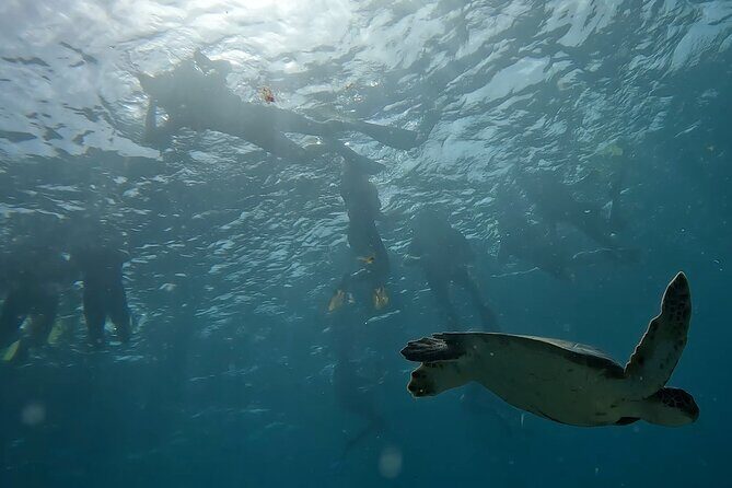 Snorkeling Experience in Santa Maria Bay by boat - The Sum Up