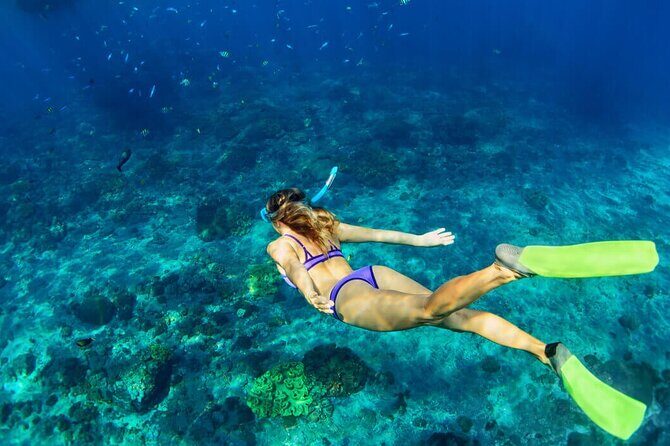 Snorkeling Experience in Underwater Museum with Transportation from Cancún - Group Size and Logistics
