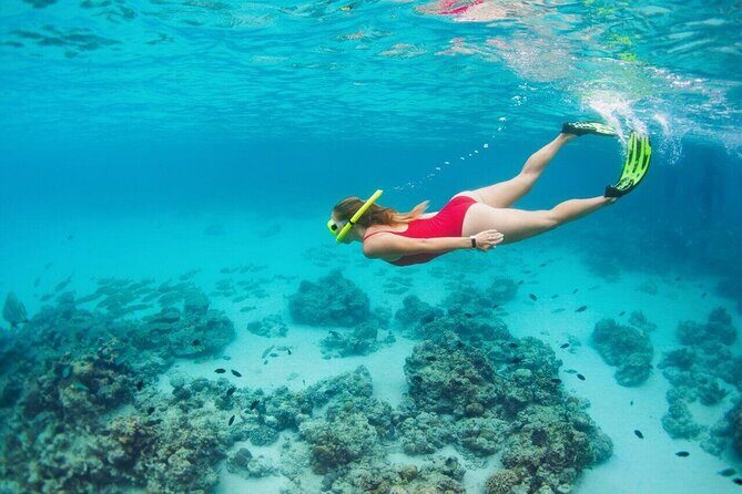 Snorkeling Experience in Underwater Museum with Transportation from Cancún - Who Should Consider This Tour?