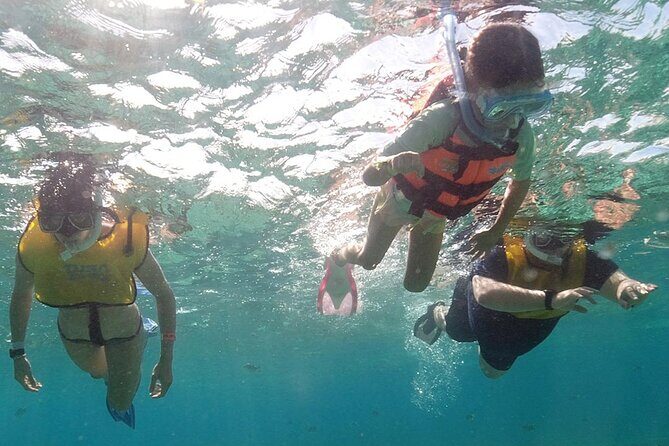 Snorkeling Experience in Underwater Museum with Transportation from Cancún - FAQs