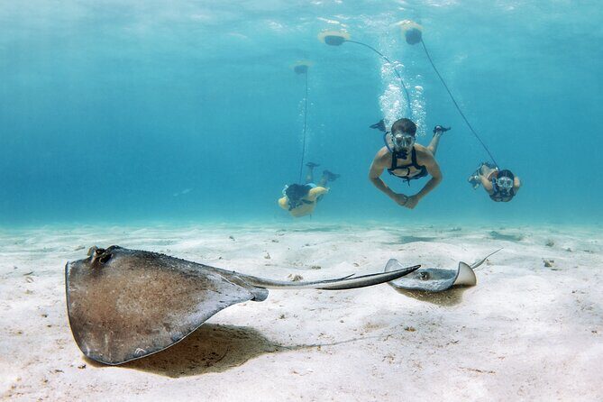Snorkeling Experience on a NEMO Diving System - Key Points