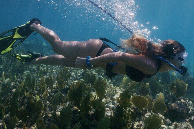 Snorkeling Experience on a NEMO Diving System - The Experience in Detail