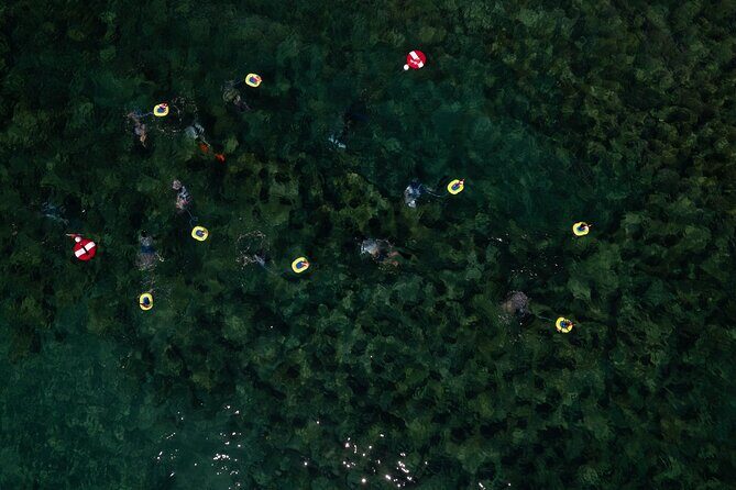 Snorkeling Experience on a NEMO Diving System - FAQ