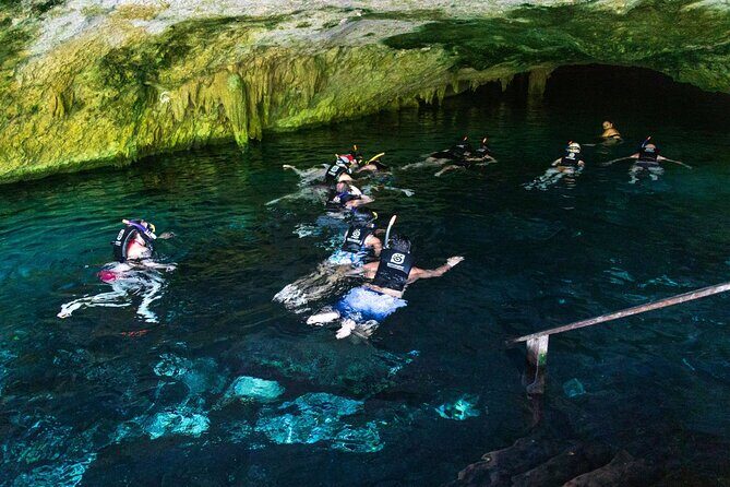 Snorkeling Experience with Turtles in Cenote in Riviera Maya - Why Choose This Tour?