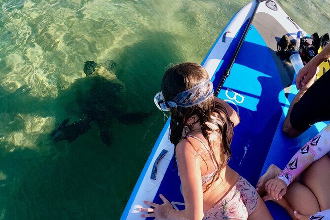 Snorkeling for Non-Swimmers Guided Tour - Wailea Beach - Pricing and Value