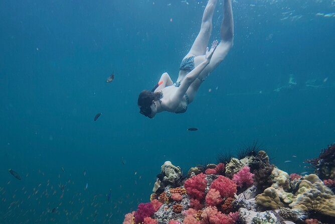 Snorkeling + Free Underwater Photos by Longtail Boat  Koh Lipe A - Discovering Koh Lipe’s Underwater and Island Treasures