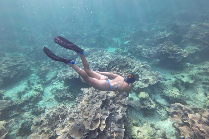 Snorkeling + Free Underwater Photos by Longtail Boat  Koh Lipe A - Summary: Who Should Consider This Tour?