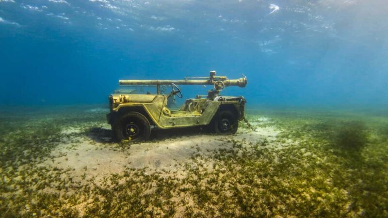Snorkeling From Shore - An In-Depth Look at the Experience
