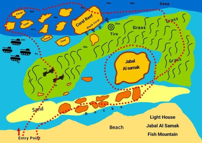 Snorkeling From Shore - Why This Tour Offers Good Value