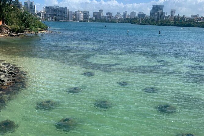 Snorkeling Guided Tour Experience in Condado Lagoon - Key Points