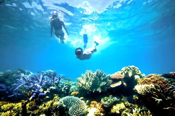 Snorkeling in Blue Lagoon Padang Bai Bali : Snorkel in the clear blue waters - Who Should Consider This Tour?