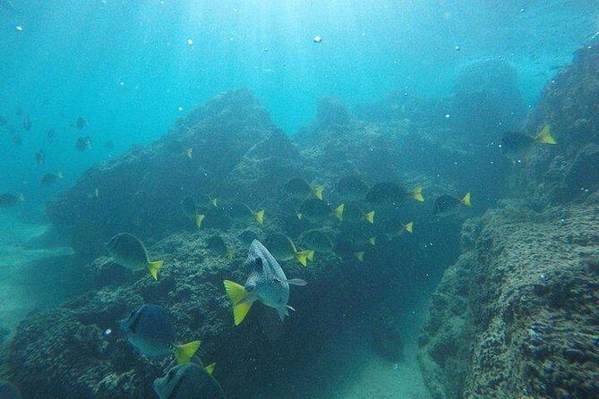 Snorkeling in Cabo San Lucas on 35' Sea Amore Trimaran - The Guides and Crew