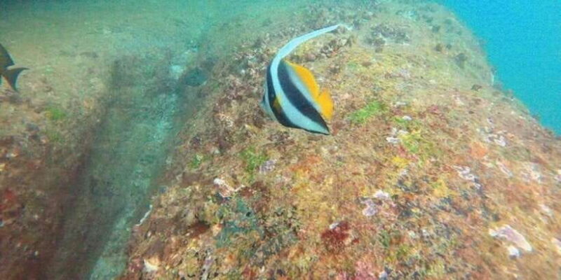 Snorkeling in Hikkaduwa - Who Should Consider This Tour?