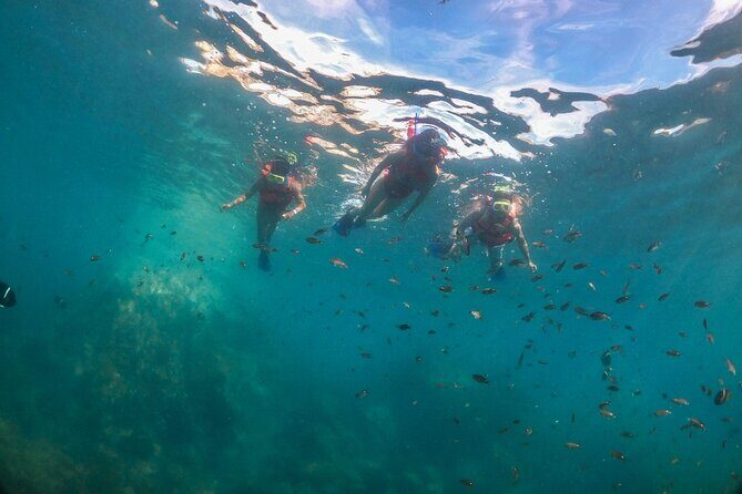 Snorkeling in Marietas Islands and BBQ in Playa Majahuitas - Practical Tips for Travelers