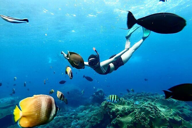 Snorkeling In Nusa Penida And Uluwatu Sunset Tours - What Makes This Tour Stand Out?