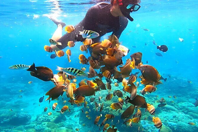 Snorkeling In Nusa Penida Departing From Bali Island - How Do Reviews Reflect the Experience?