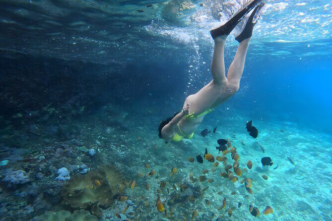 Snorkeling In Nusa Penida Departing From Bali Island - The Pros and Cons