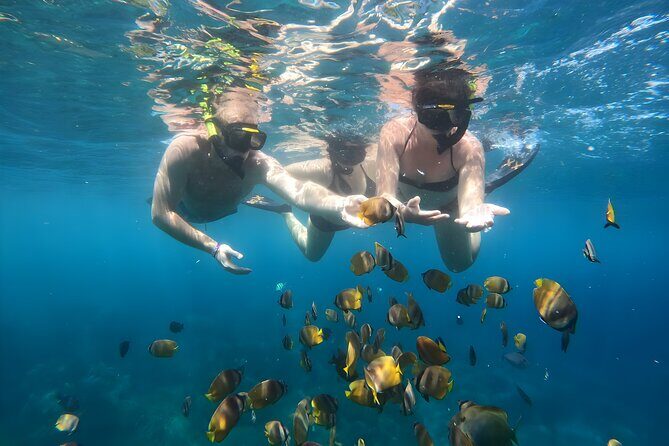 Snorkeling In Nusa Penida Departing From Bali Island - Frequently Asked Questions