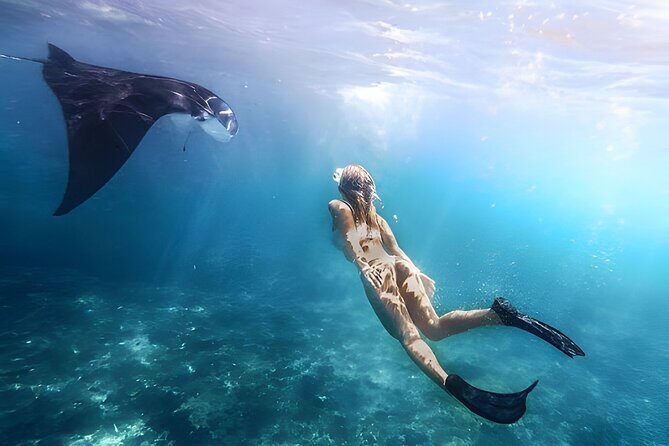 Snorkeling In Nusa Penida Island With Manta Ray From Bali - Key Points
