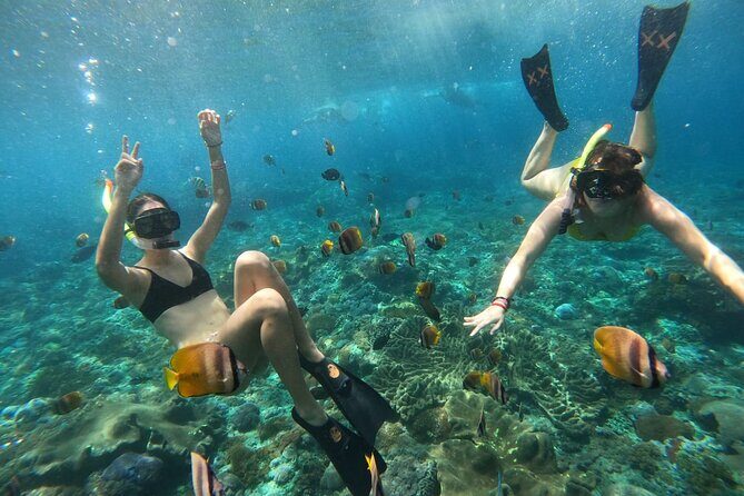 Snorkeling In Nusa Penida Island With Manta Ray From Bali - Introduction: What’s the Tour All About?