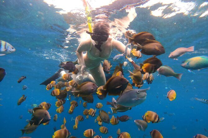 Snorkeling In Nusa Penida Island With Manta Ray From Bali - Detailed Breakdown of the Itinerary
