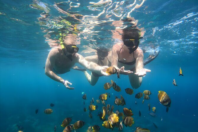 Snorkeling In Nusa Penida Island With Manta Ray From Bali - Whats Included — and Whats Not?
