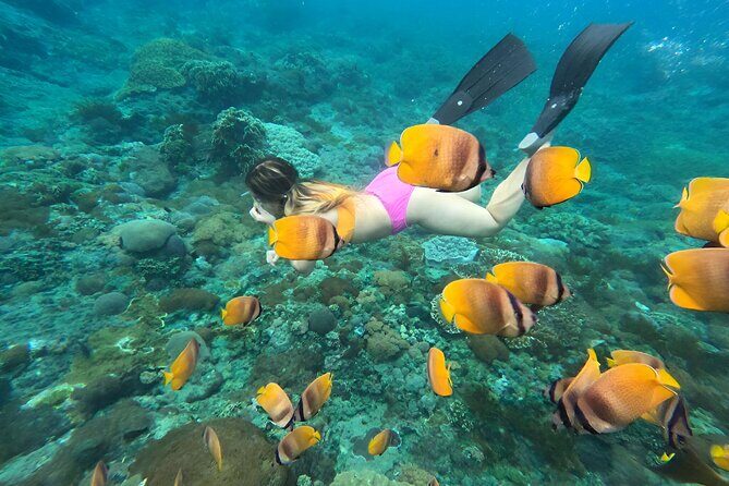 Snorkeling In Nusa Penida Island With Manta Ray From Bali - The Sum Up: Is This Tour Worth It?