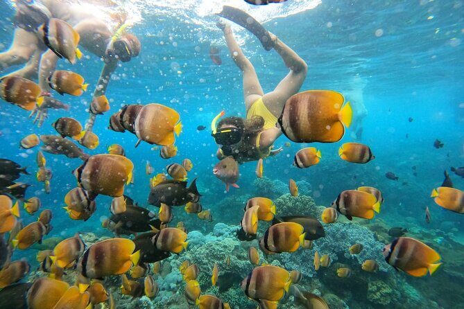 Snorkeling In Nusa Penida Island With Manta Ray From Bali - FAQ