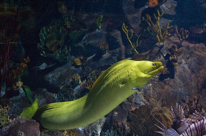 Snorkeling in Puerto Morelos - Final Thoughts: Who Will Love This Tour?
