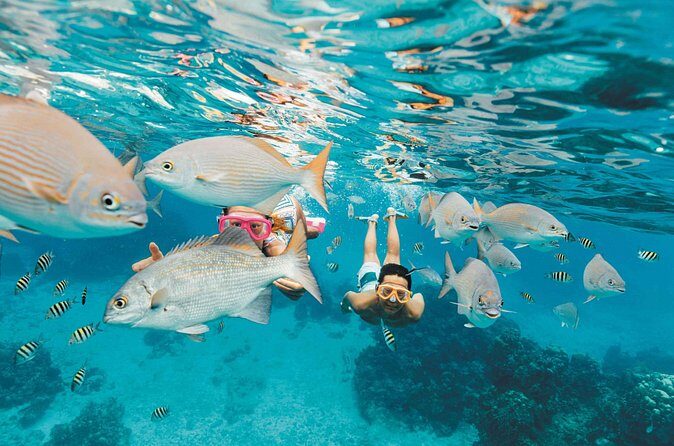 Snorkeling in Puerto Morelos - FAQ