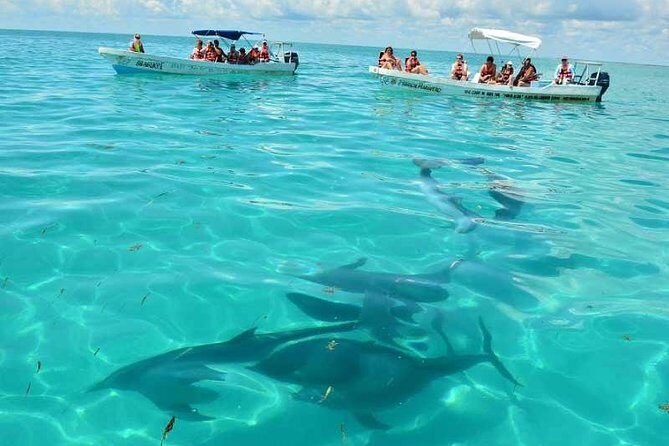 Snorkeling in Sian Ka'an - A Deep Dive into the Tour Experience