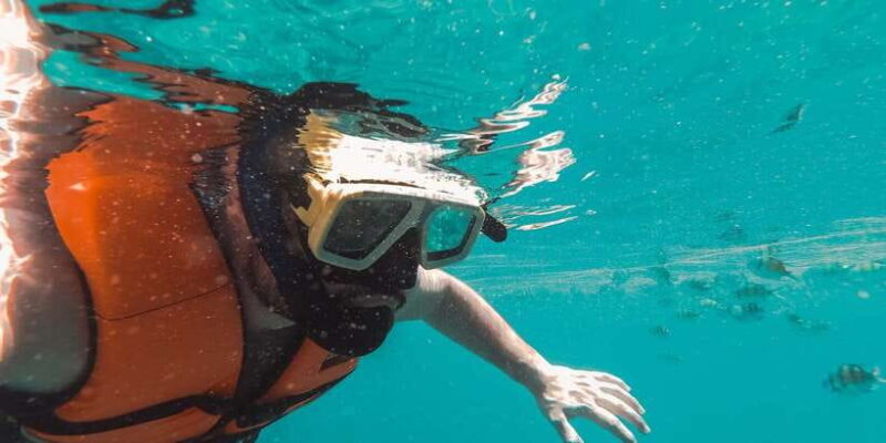 Snorkeling in Trincomalee - An Underwater Journey in Trincomalee